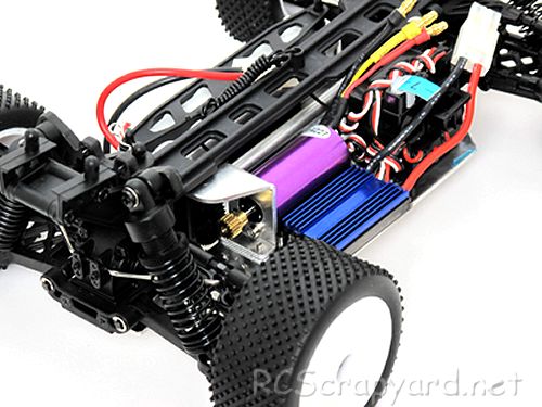 Acme Racing Fire Wolf Chassis