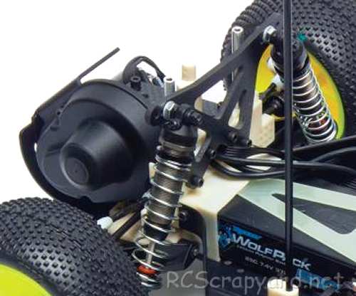 Team Associated RC10 World's Car - 2014 - 6002