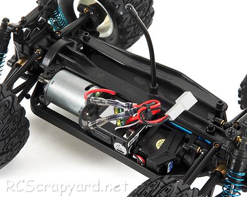Team Associated Rival 1:18 Monster Truck Chassis