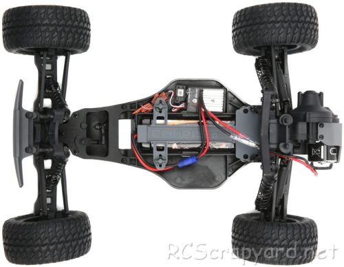 ECX AMP MT Chassis