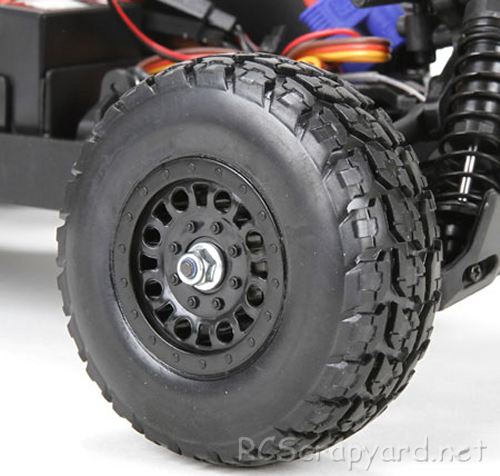 ECX Roost Chassis
