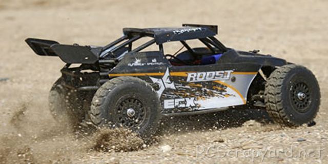 ECX Roost Chassis