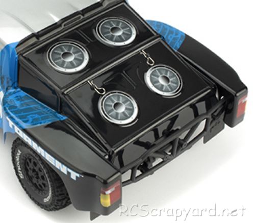 ECX Torment Chassis