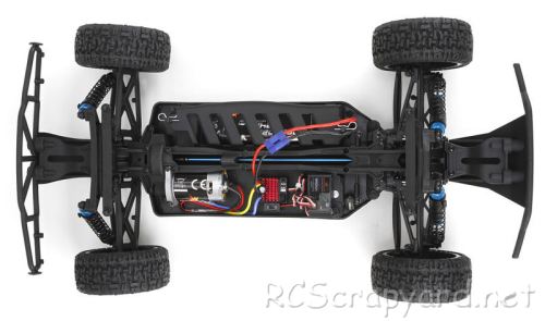 ECX Torment Chassis