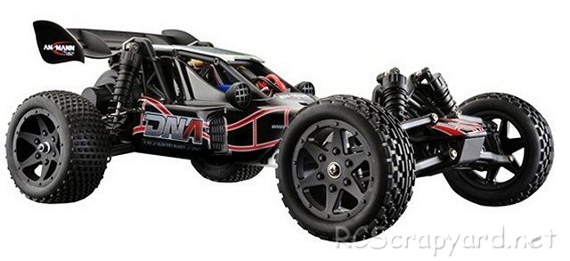 Ansmann DNA - 1:10 Eléctrico Buggy