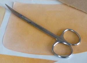 Curved Nose Scissors