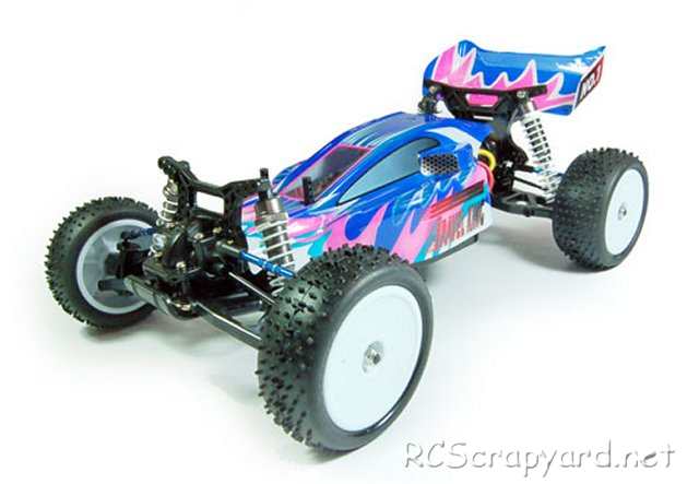 FS-Racing Buggy-Pro- Travel King -1:10 Elektro Buggy