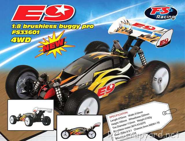 FS Racing E9 - 1:8 Borstelloze Buggy