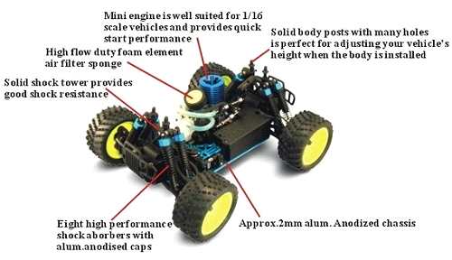 HSP Kingliness 94286