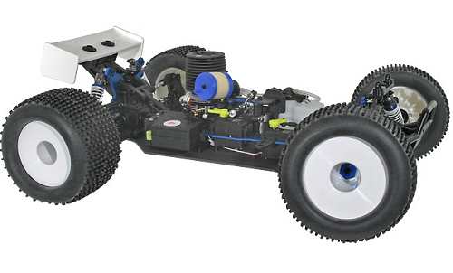 Hong Nor Mutilator Truggy Telaio