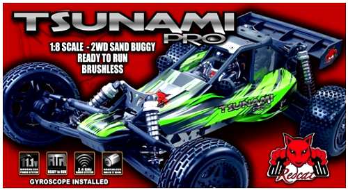 Redcat Racing Tsunami Buggy