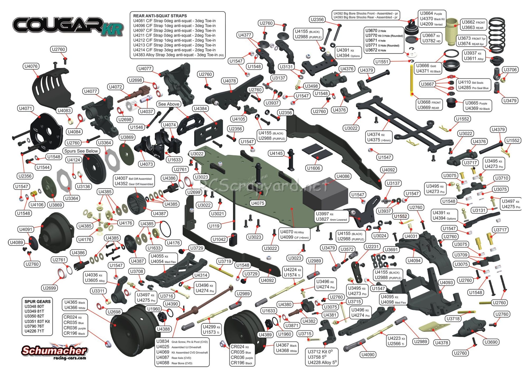 Schumacher - Cougar KR - Exploded View